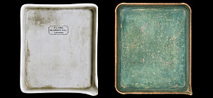 Portraits of famous developer trays