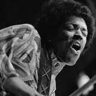 Jimi Hendrix Jimi Hendrix