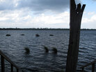 Bayou Bienvenue in New Orleans Bayou Bienvenue in New Orleans