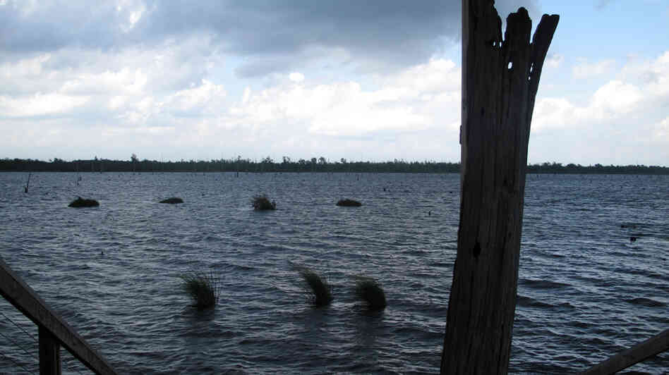 Bayou Bienvenue in New Orleans