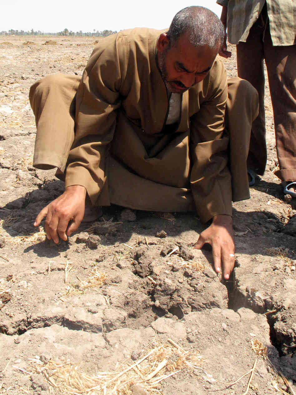 In recent years, some Egyptian farmers have seen their water supply dwindle dramatically.