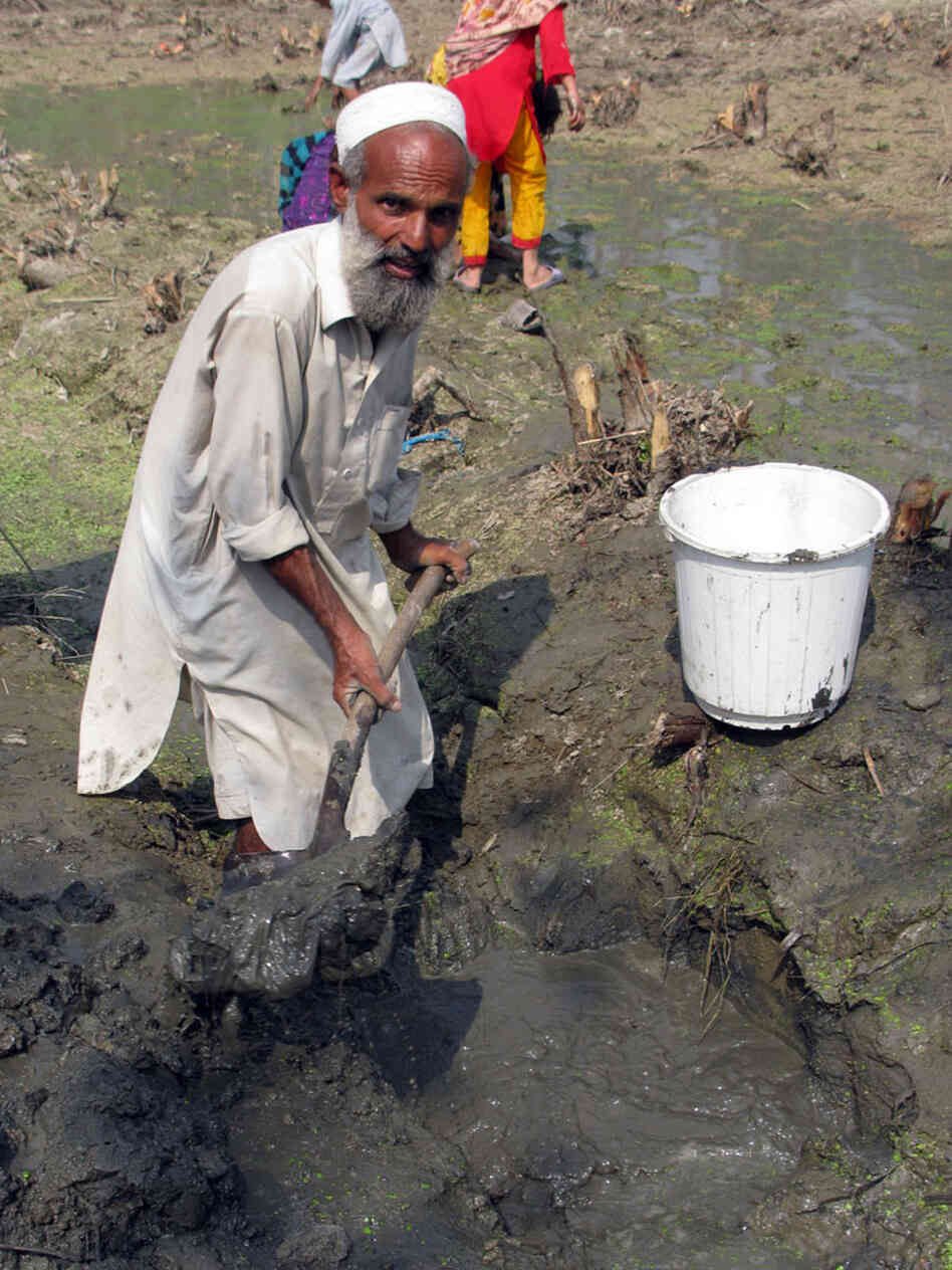 Qismat Ali, 50, of Charsadda district in Pakistan
