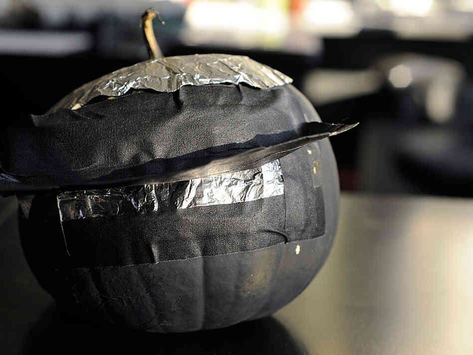 A pumpkin turned into a camera