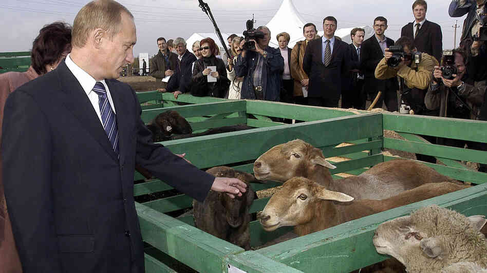 Then-Russian President Vladimir Putin visits farm outside Saratov in 2004