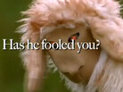 From a web video produced by Republican Carly Fiorina's campaign during the 2010 primaries. From a web video produced by Republican Carly Fiorina's campaign during the 2010 primaries.