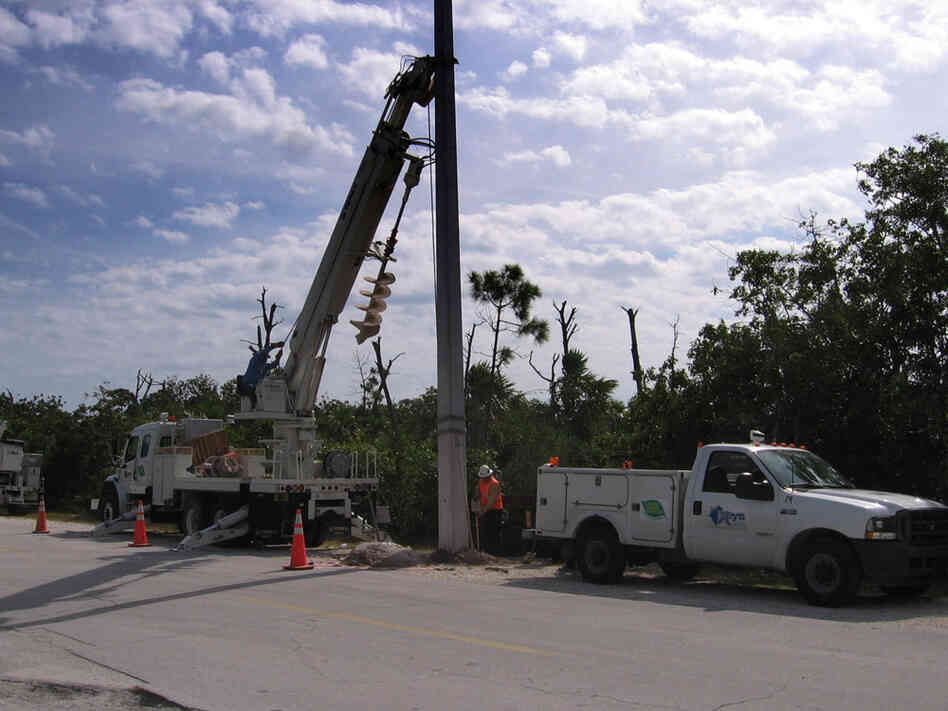 A work crew installs a concrete power pole on the island.