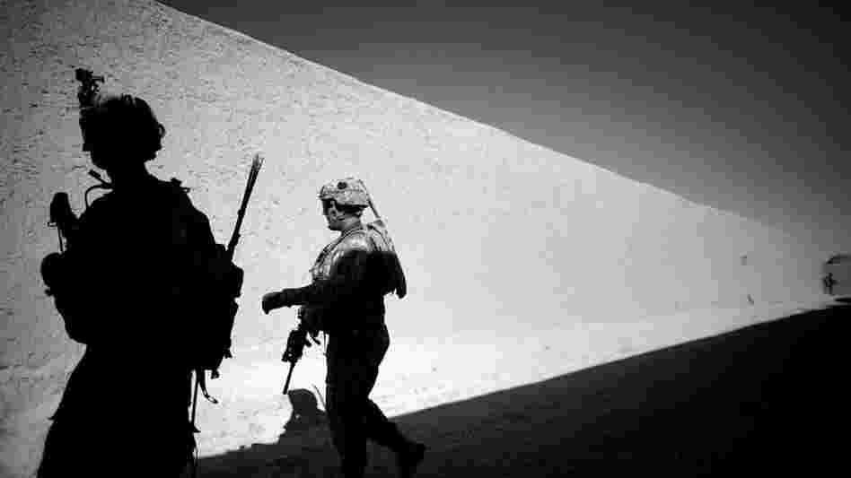 Soldiers from the Army's 101st Airborne Division