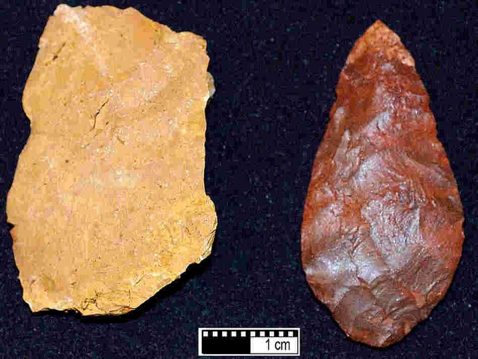 Early humans may have used heat to transform silcrete (left) into sharp tools (right).