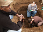 Researchers excavating the skeleton of a mountain gorilla. Researchers excavating the skeleton of a mountain gorilla.