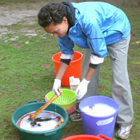 Erin Marie strains the cleaned gorilla bones to catch any fragments that may have come loose.