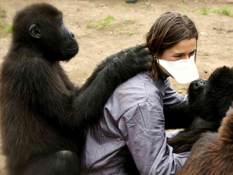 Magdalena  Lukasik-Braum is one of the vets with the Mountain Gorilla Veterinary Project.