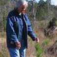 Forests destroyed by Hurricane Katrina have drastically changed their carbon footprint.