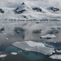 Iceberg