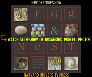 Harvard University Press