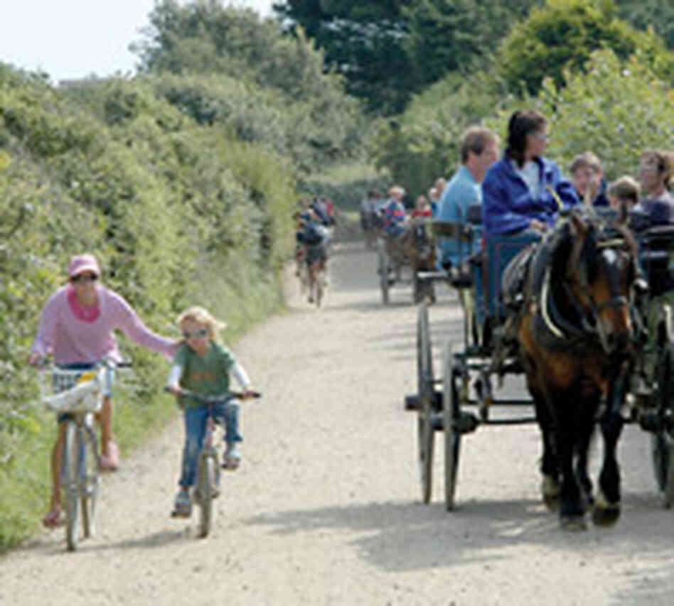 Since cars are banned, carriages are the main form of transport on the island of Sark. Since cars are banned, carriages are the main form of transport on the island of Sark.