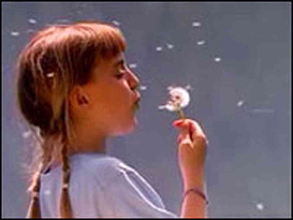 A scene from one of the new ads promoting carbon dioxide from the CEI. A scene from one of the new ads promoting carbon dioxide from the CEI.