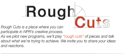 NPR Rough Cuts