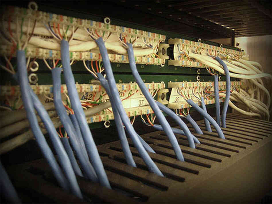 Wires emerge like roots. Wires emerge like roots.
