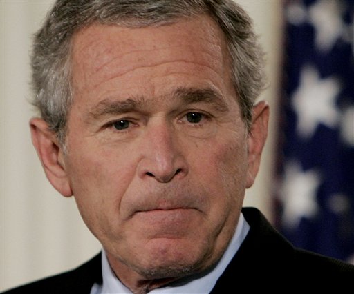 bush.jpg