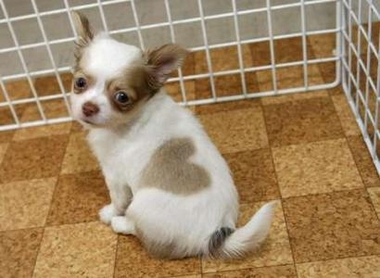iheartyou.jpg