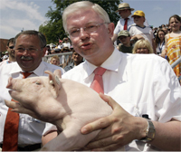 pol_pig2.jpg