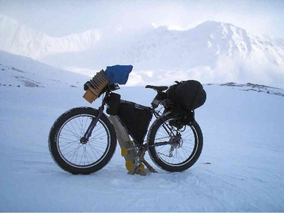 Iditarod Iditarod