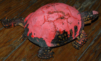 Painted Turtle