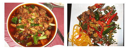 vegetables and chicken