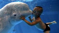 boy whale tank