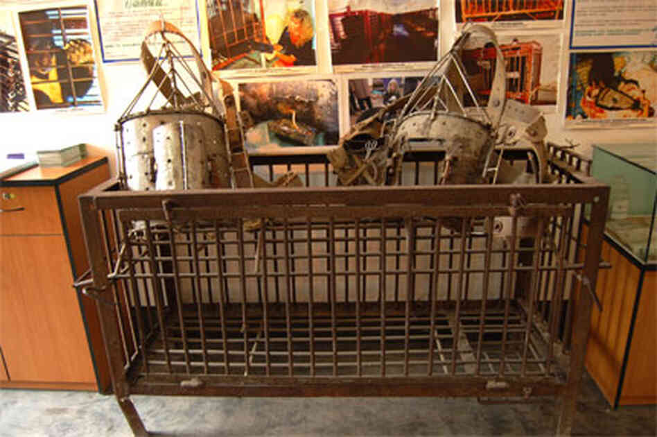 crush cage crush cage