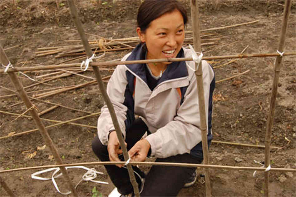 gao qingrong gao qingrong