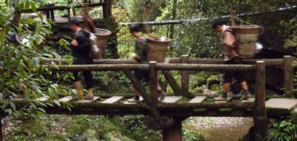 Men cross bridge