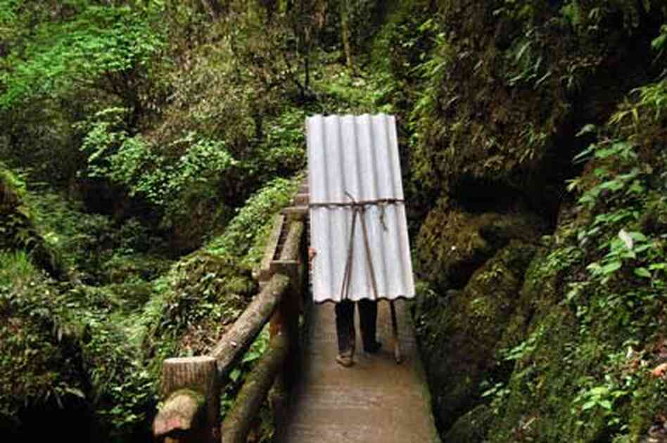 Man Carries load Man Carries load
