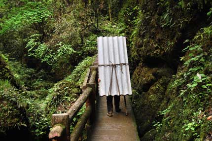 Man Carries load