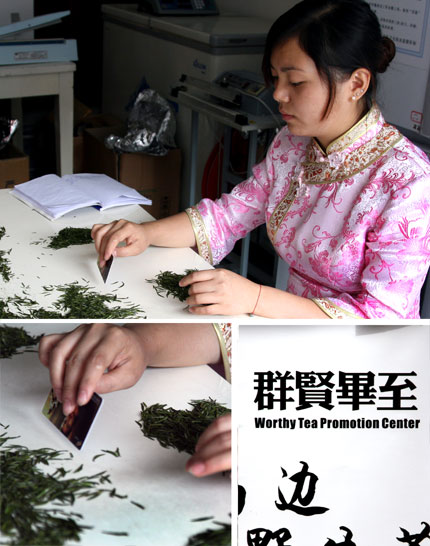 tea leaves