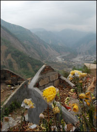 beichuan flowers