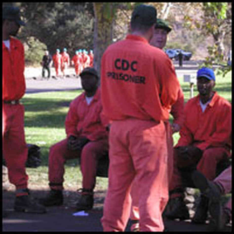 California Correctional Department inmates help fight wildfires California Correctional Department inmates help fight wildfires