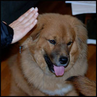 Sadie