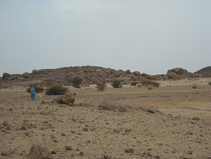 description