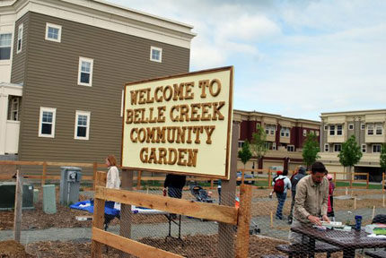 Community garden