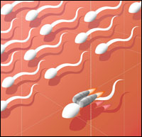graphic of sperm.