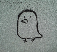 hand-drawn bird on a wall