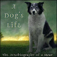 A Dog's Life