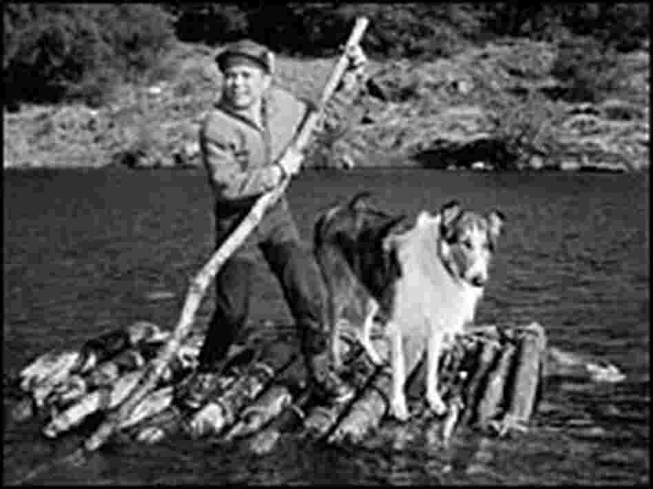 Timmy and Lassie float on a raft. Timmy and Lassie float on a raft.