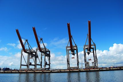 cranes.jpg