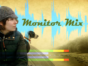 Monitor Mix Blog