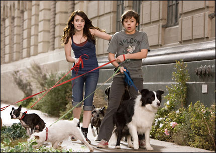 A still from the movie 'Hotel For Dogs'