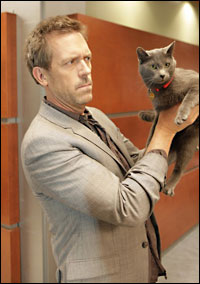 Hugh Laurie of House looks suspiciously at a cat