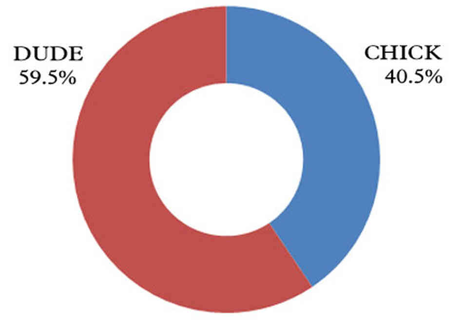 donut chart showing 59.4 percent dude donut chart showing 59.4 percent dude