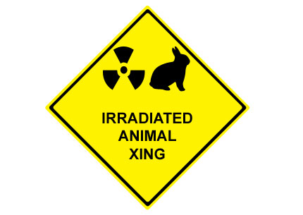 DESCRIPTION OF IMAGE